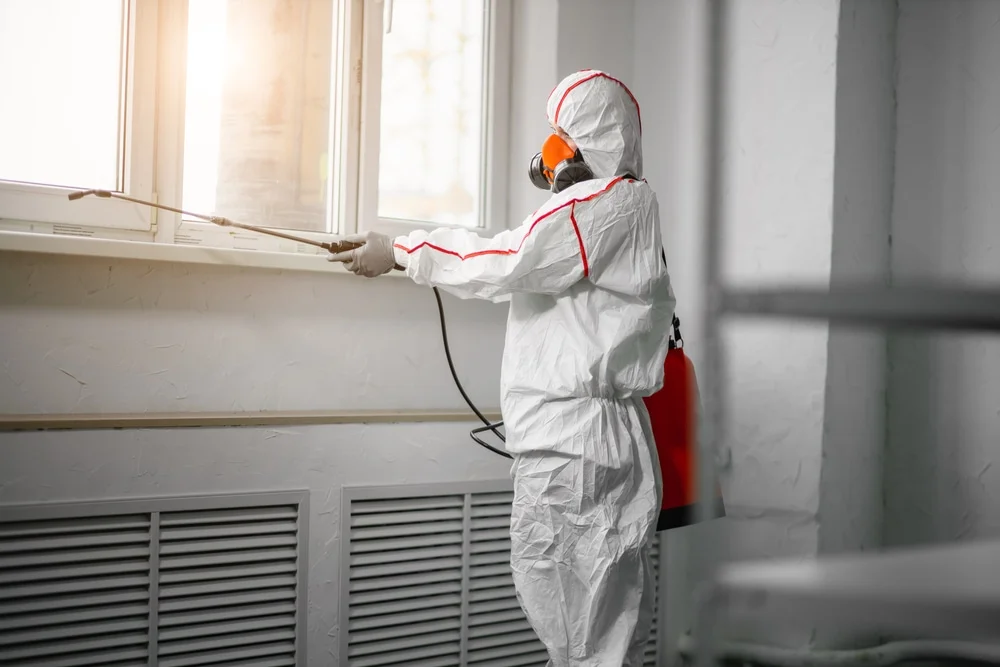 Professional mold remediation services in Stone Harbor, NJ